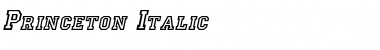 Princeton Italic Font