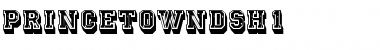 PrincetownDSh1 Regular Font