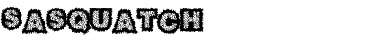 Sasquatch Regular Font