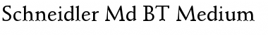 Download Schneidler Md BT Font