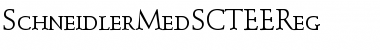 Download SchneidlerMedSCTEEReg Font