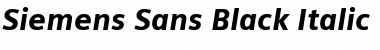 Download Siemens Sans Black Font