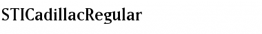 S Medium Font