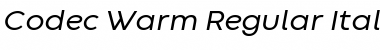 Codec Warm Trial Italic Font