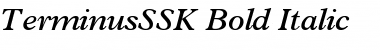 Download TerminusSSK Font