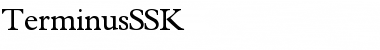 TerminusSSK Regular Font