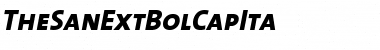 TheSanExtBolCapIta Regular Font