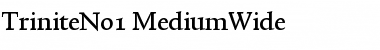 TriniteNo1 Medium Font