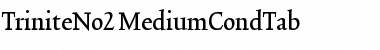 TriniteNo2 Medium Font