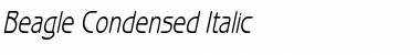 Beagle Condensed Italic Font