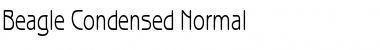 Beagle Condensed Normal Font