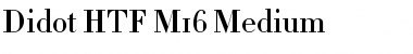 Didot Medium Font