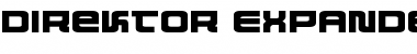 Direktor Expanded Expanded Font