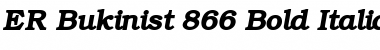 Download ER Bukinist 866 Font