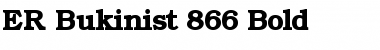 Download ER Bukinist 866 Font