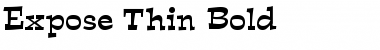 Download Expose Thin Font
