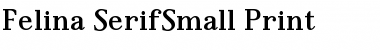 Felina SerifSmall Print Regular Font