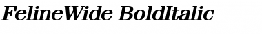 FelineWide BoldItalic Font