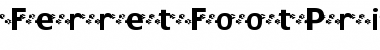 Download FerretFootPrints Font