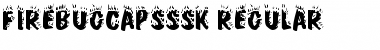 FirebugCapsSSK Regular Font