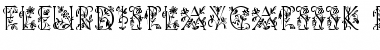 FleurDisplayCapsSSK Regular Font