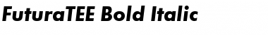 FuturaTEE Bold Italic Font