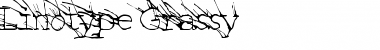 LinotypeGrassy Regular Font