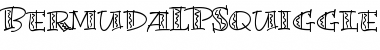 BermudaLPSquiggle Roman Font