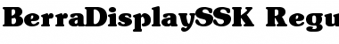 BerraDisplaySSK Regular Font