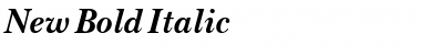 New Bold Italic Font