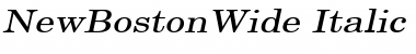 Download NewBostonWide Font