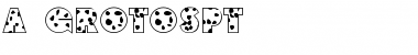 a_GrotoSpt Normal Font