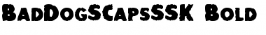 Download BadDogSCapsSSK Font