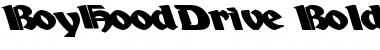 BoyHoodDrive Bold Font