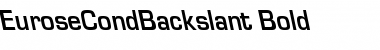 EuroseCondBackslant Bold Font