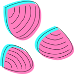 Clams Clip Art