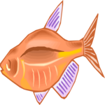 Tetra 20 Clip Art