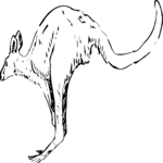 Kangaroo Clip Art