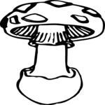 Mushroom 08