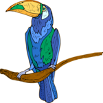 Toucan 16 Clip Art