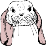 Rabbit 37 Clip Art