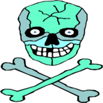 Skull & Crossbones 9