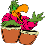 Conga Player - Parrot 1 Clip Art