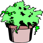 Plant 078 Clip Art