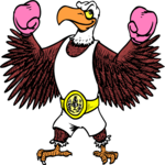 Boxer - Eagle