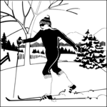 Skiing - Cross Country 03