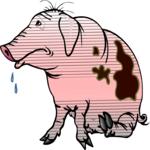 Pig Drooling Clip Art