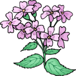 Flower 493 Clip Art