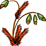 Plant 037 Clip Art