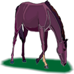 Horse 48 Clip Art